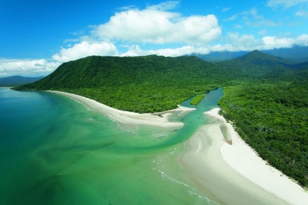 Daintree Rainforest