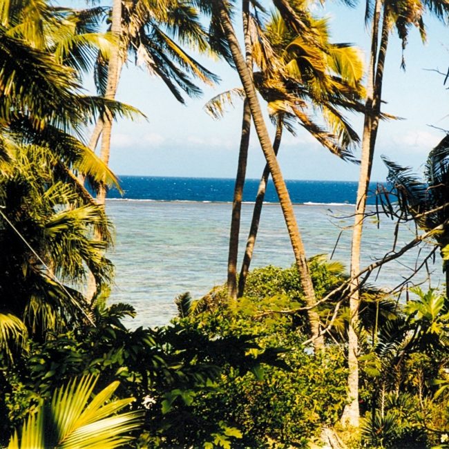 Viti Levu Island Destination