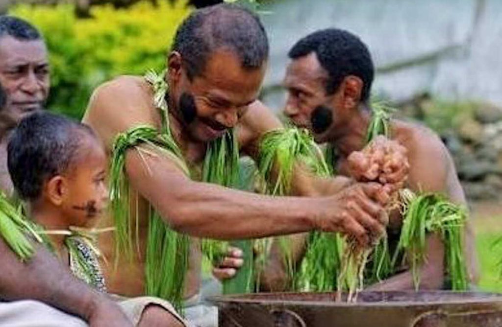 Fiji Kava