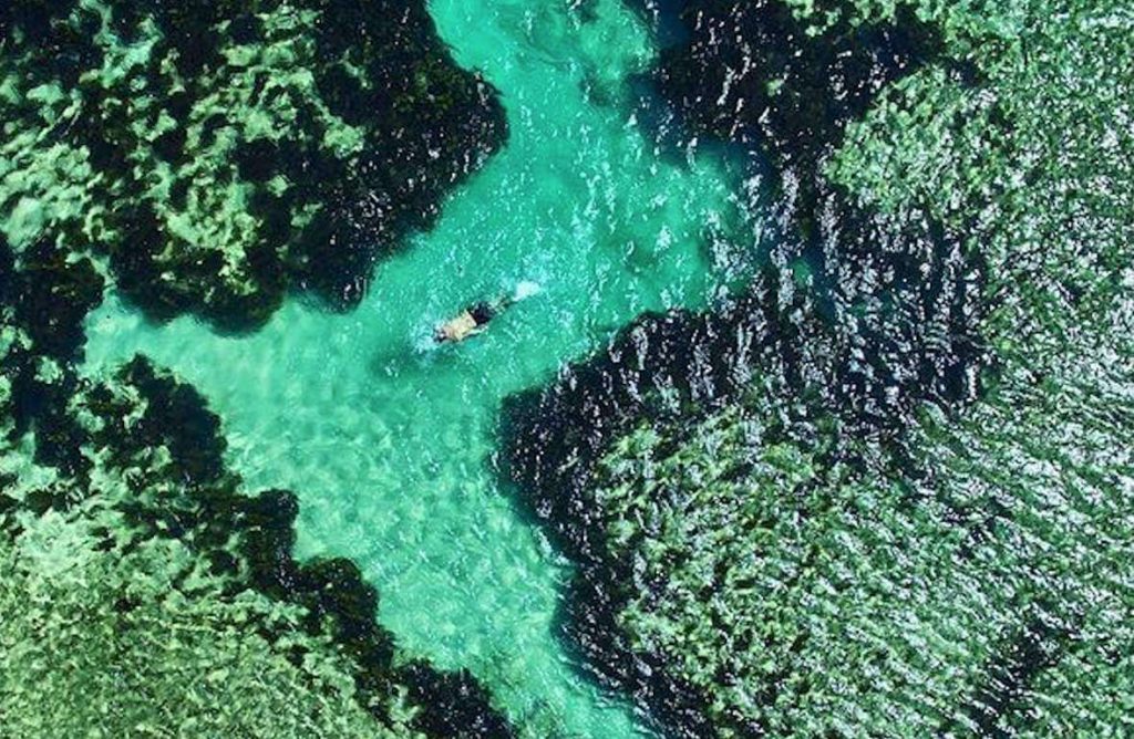 Fiji Snorkelling Reef