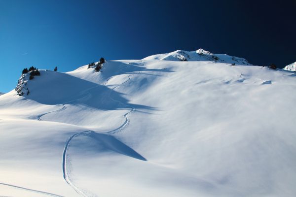 Yashima Heli-Skiing.