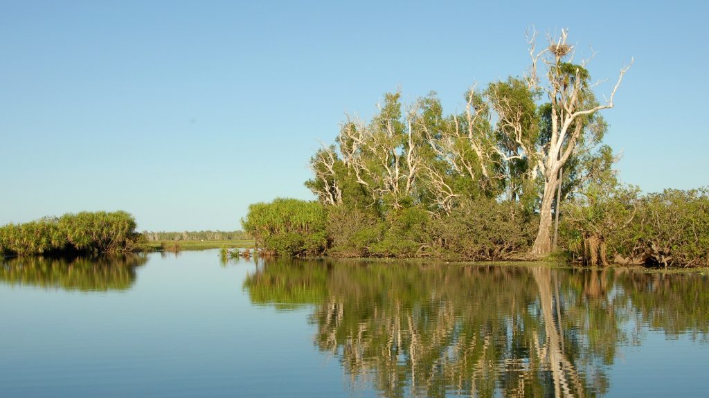 Darwin & Kakadu National Park