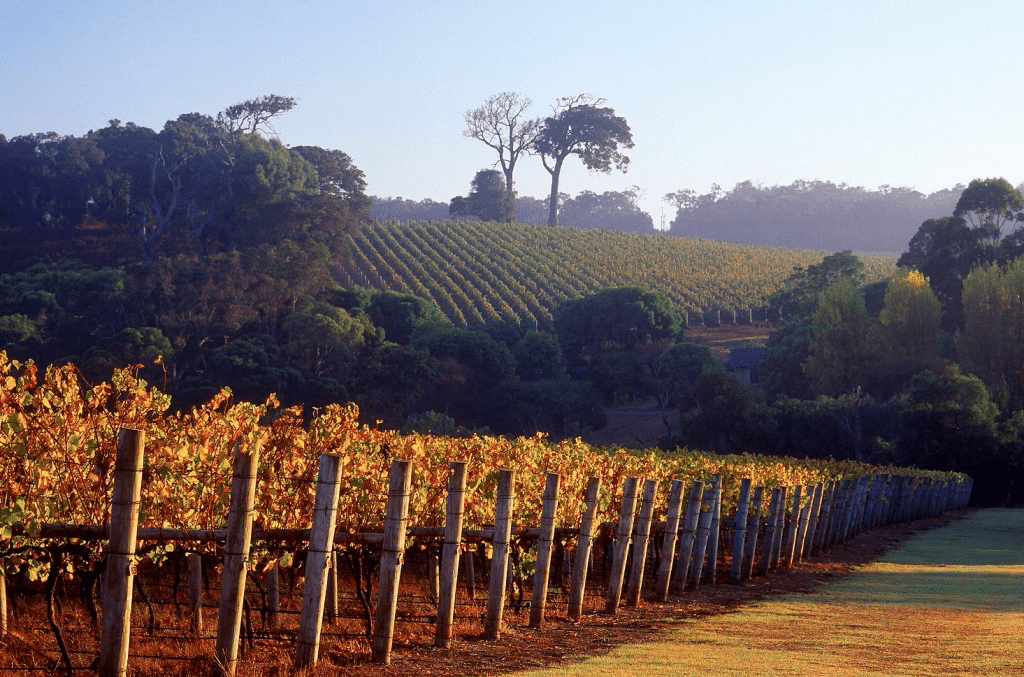 Cape Lodge Margaret River