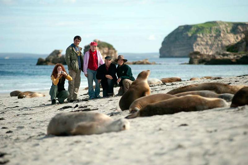 Seal Bay Conservation Park