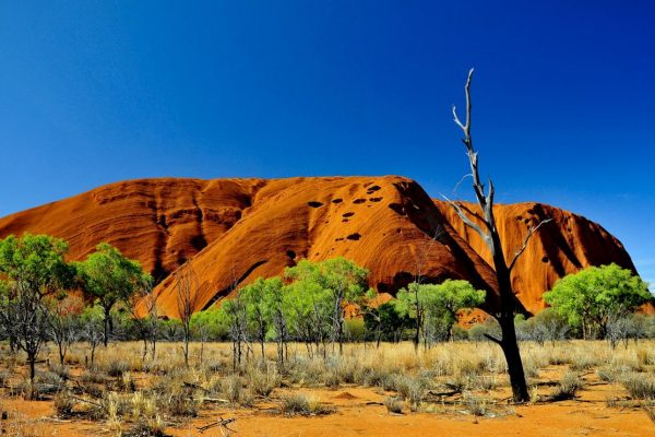 Australia Outback Uluru