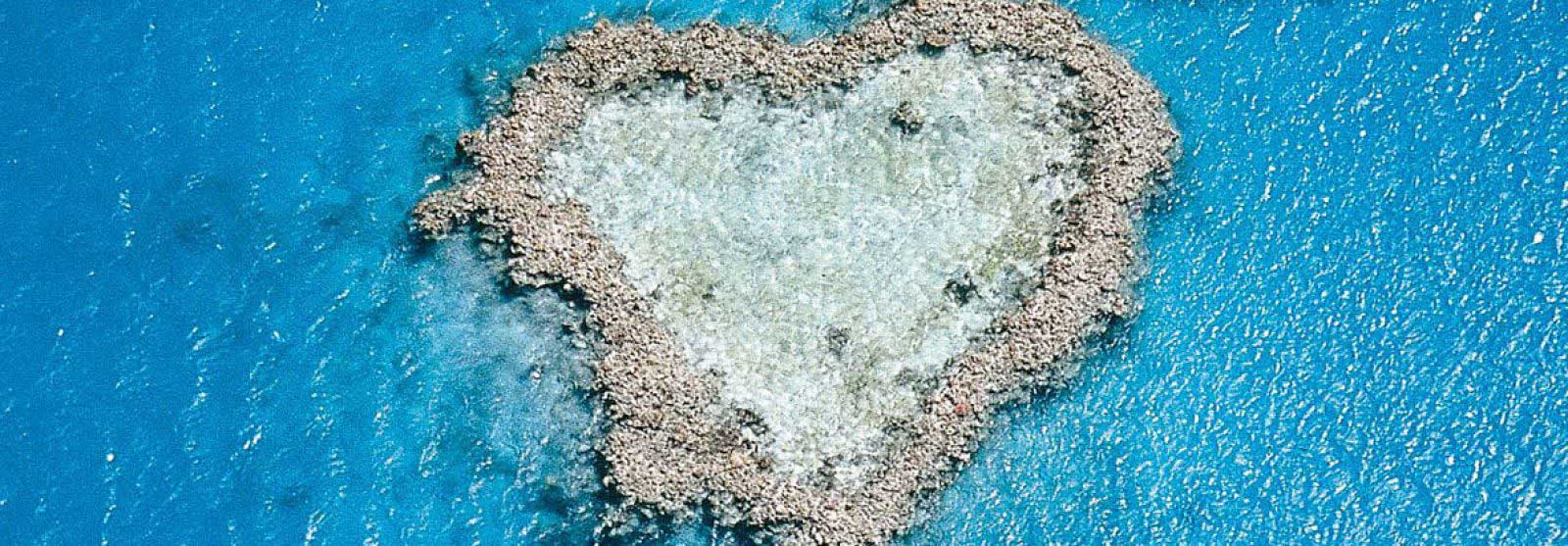 Med Heart Reef