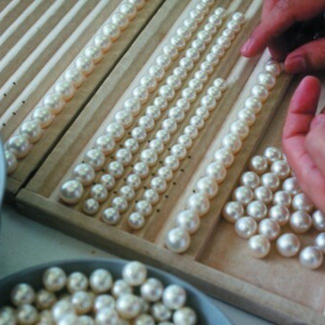 Pearl Grading Paspaley
