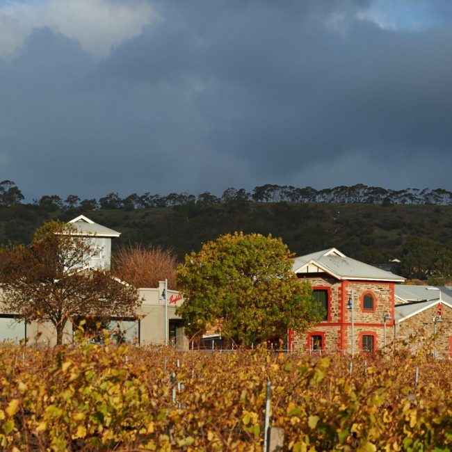 Penfolds Magill Estate