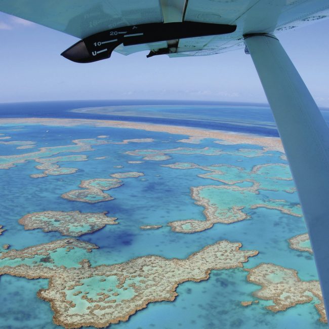 The Great Barrier Reef