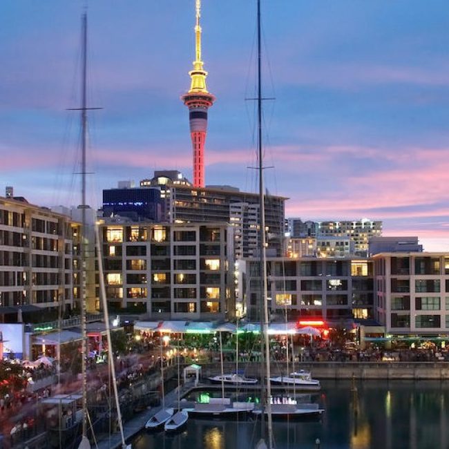 Auckland Night