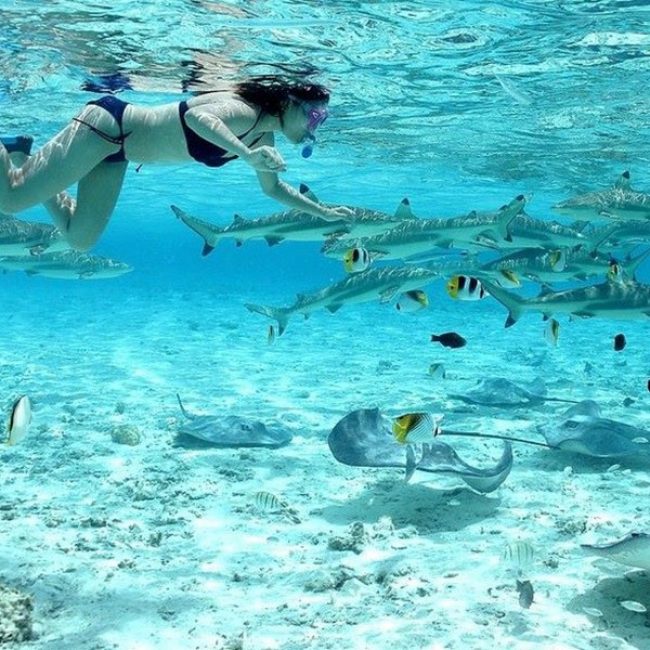 Conrad Bora Bora Snorkeling