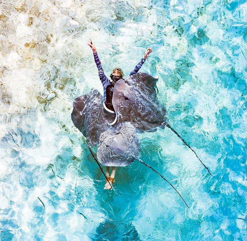 Conrad Bora Bora Swimming with Ray