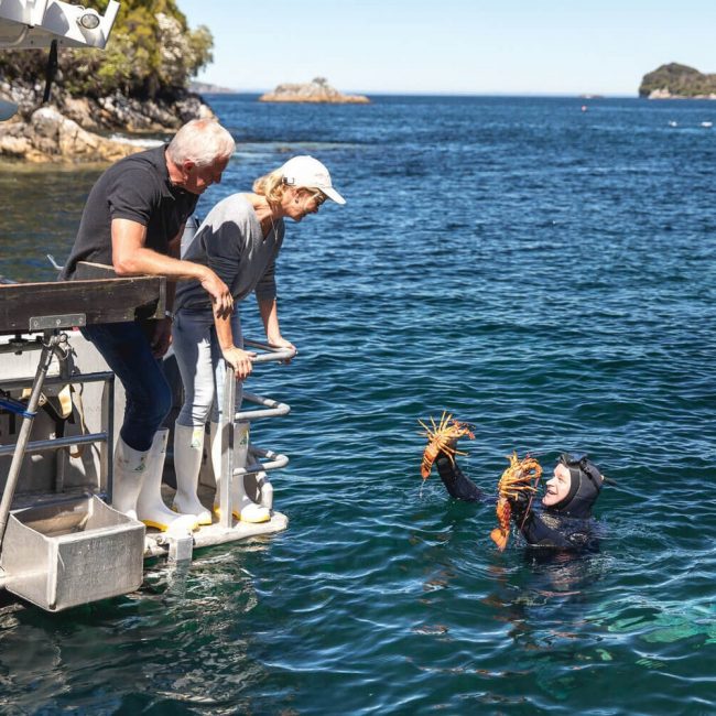 Minaret Station Experience Diving