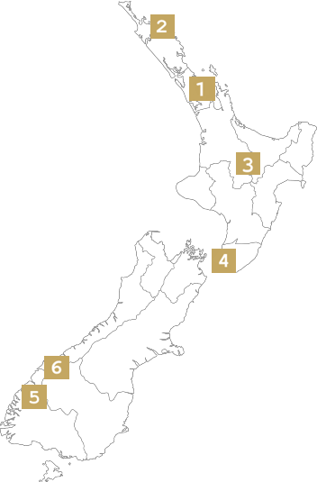 New Zealand Map