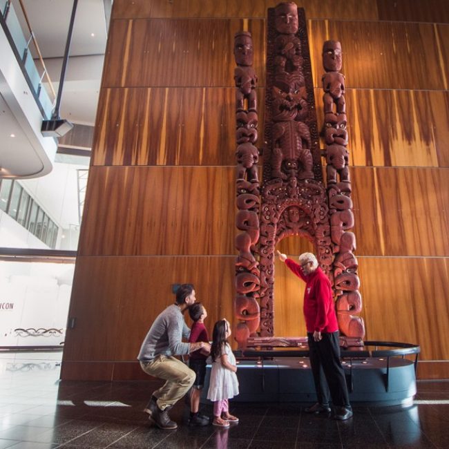 Te Papa Museum Family and Guide