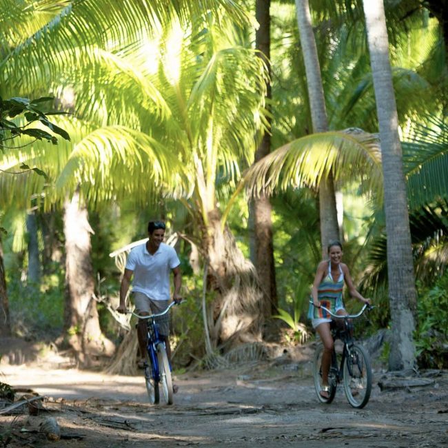 The Brando Cycling