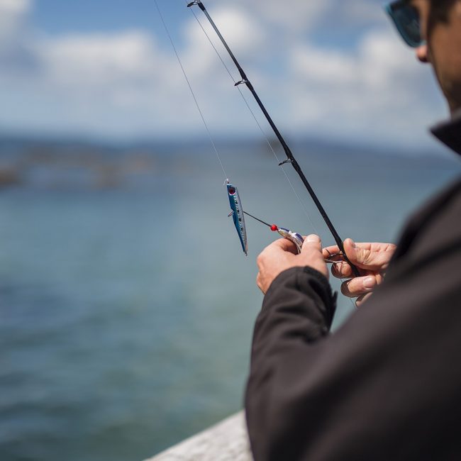 The Landing Fishing