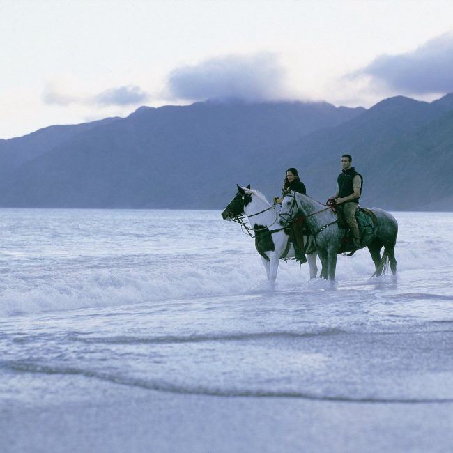 Wharekauhau Horse Riding