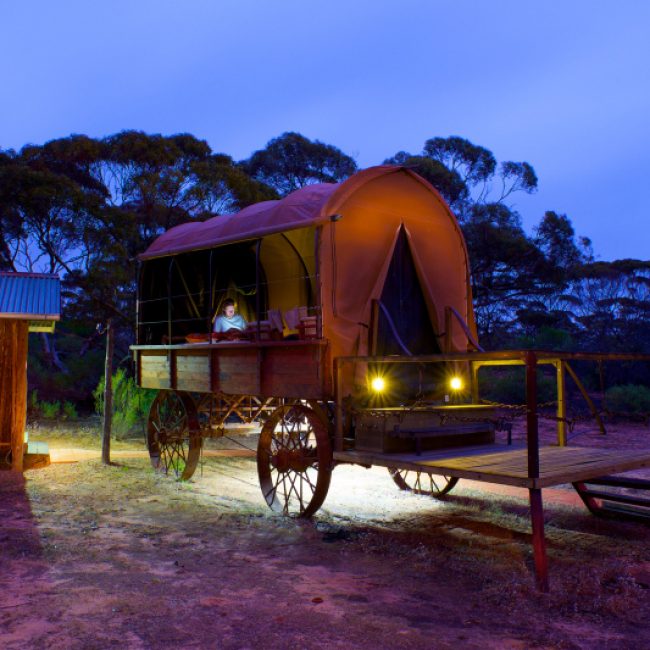 Kangaluna Camp – ‘Swagon’