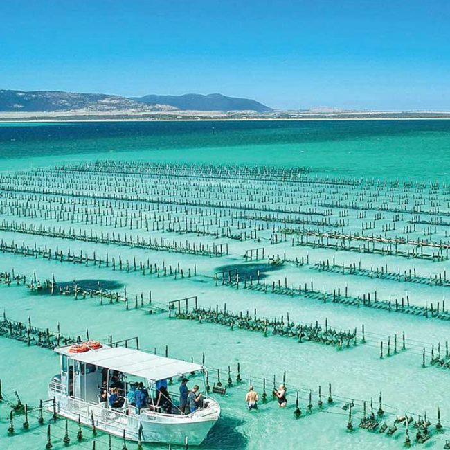 Coffin Bay Oyster Farm