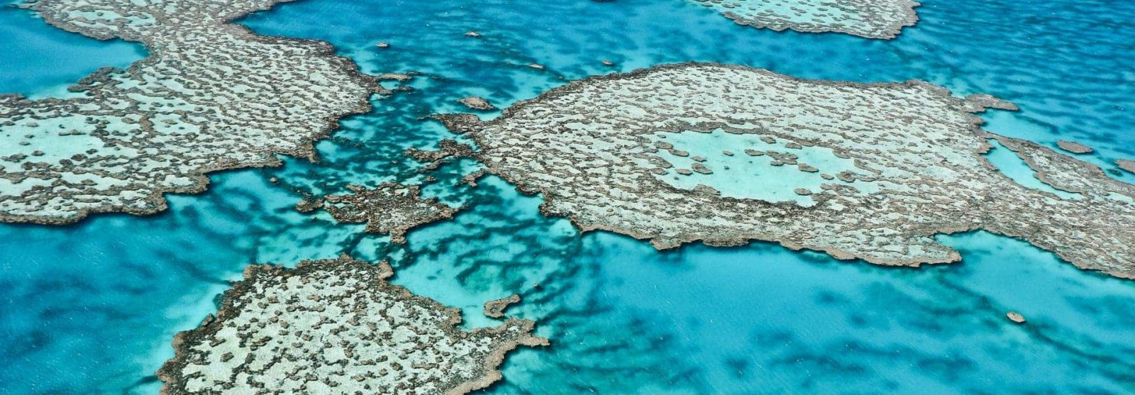 liveaboard-australia-great-barrier-reef-xxl